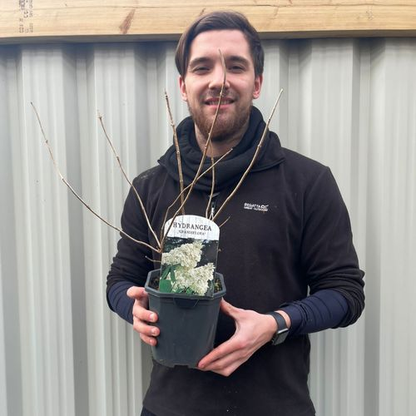 7pcs Packing Cubes Luggage Storage Organiser Travel Compression Suitcase Bags