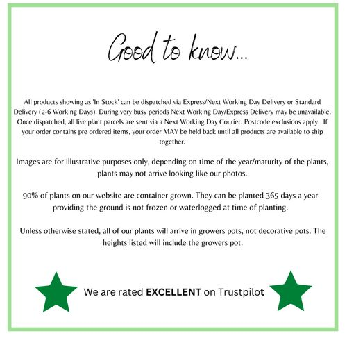 7pcs Packing Cubes Luggage Storage Organiser Travel Compression Suitcase Bags