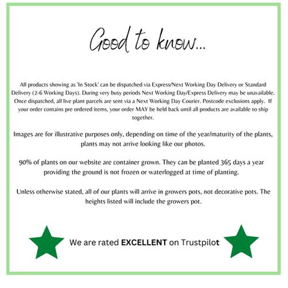 7pcs Packing Cubes Luggage Storage Organiser Travel Compression Suitcase Bags