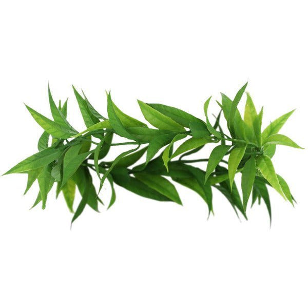 Adult Grecian Laurel Leaf Headdress - Adult Weekender