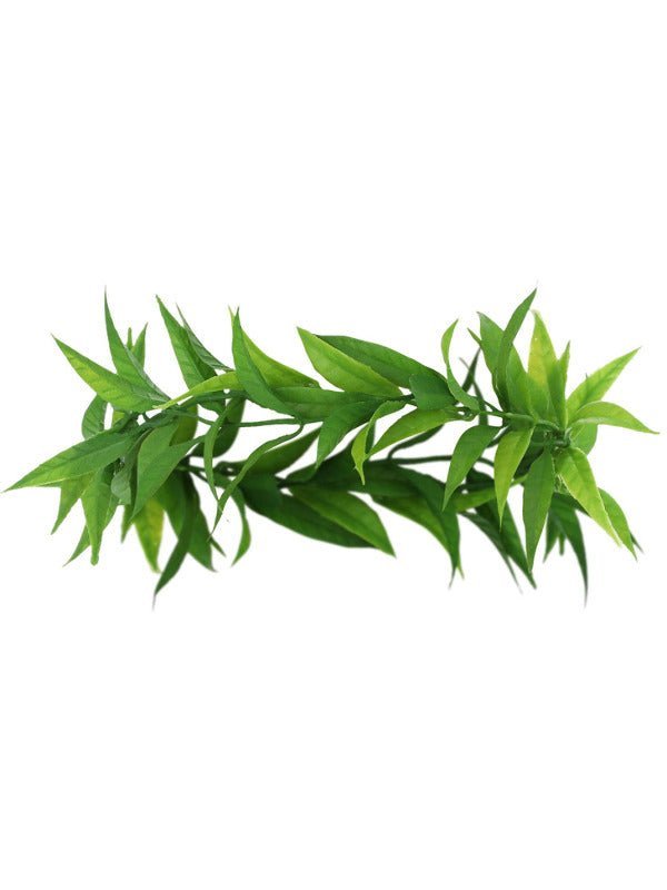 Adult Grecian Laurel Leaf Headdress - Adult Weekender