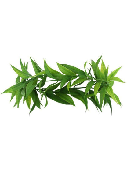 Adult Grecian Laurel Leaf Headdress - Adult Weekender