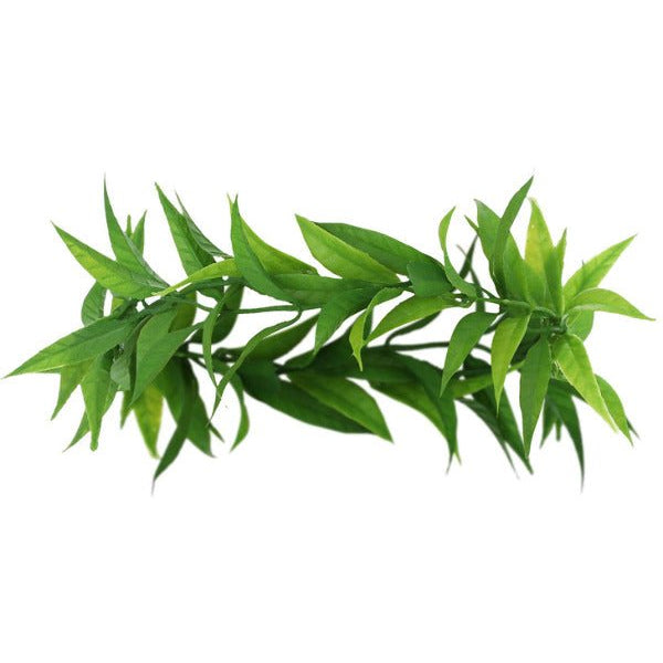 Adult Grecian Laurel Leaf Headdress - Adult Weekender