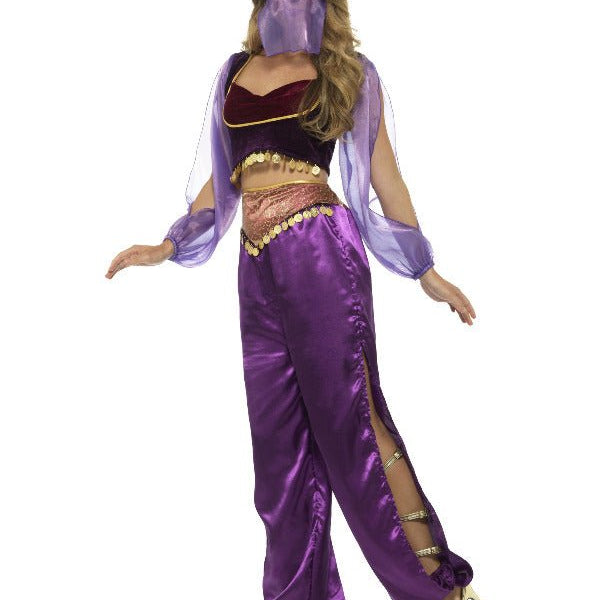 Arabian Princess Costume, Purple - Adult Weekender