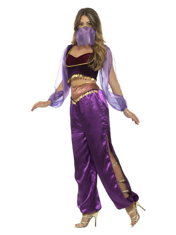 Arabian Princess Costume, Purple - Adult Weekender