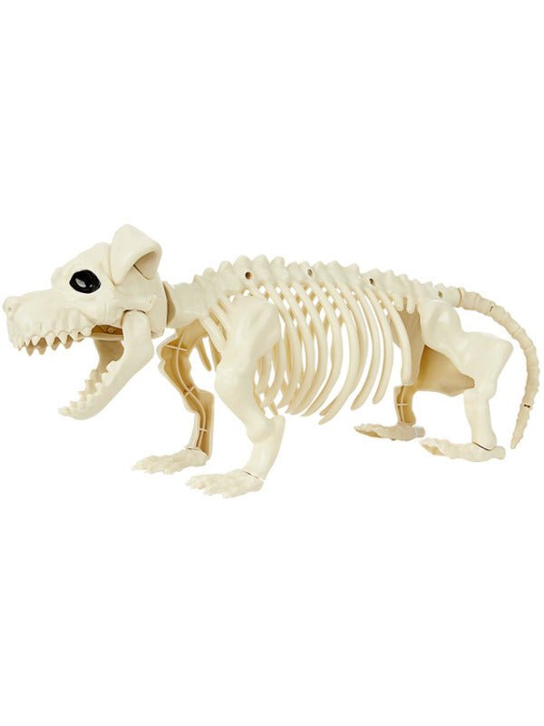 Dog Skeleton Prop, Natural - Adult Weekender