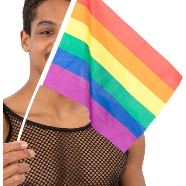 Hand Held Rainbow Flags, 45x30cm, 12Pk - Adult Weekender