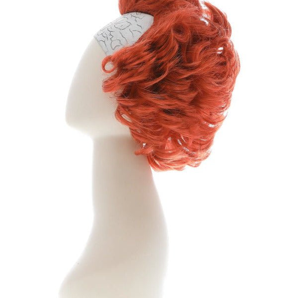 IT Chapter Two Pennywise Wig - Adult Weekender