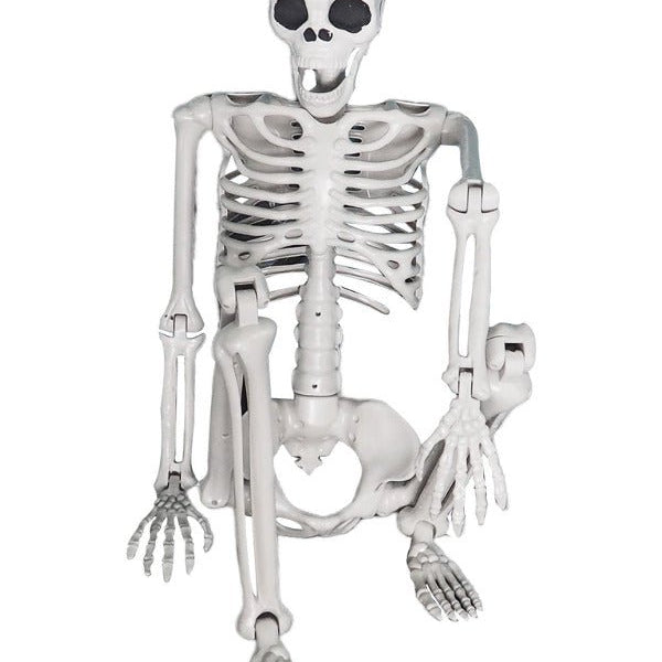Lifesize Hanging Skeleton Prop, 150cm - Adult Weekender