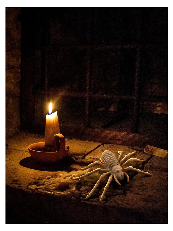 Light Up Spider Prop - Adult Weekender