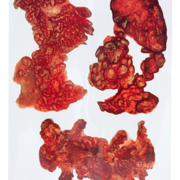 Smiffys Make - Up FX, Burnt Skin Tattoo Transfers - Adult Weekender