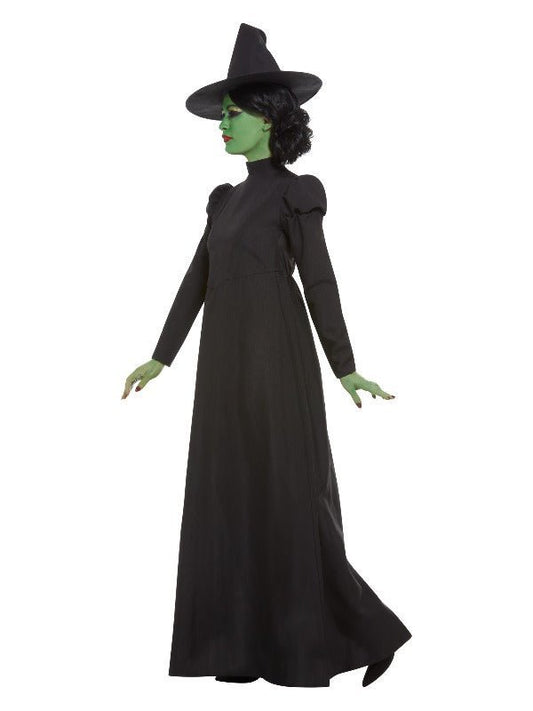 Wicked Witch Costume, Black - Adult Weekender